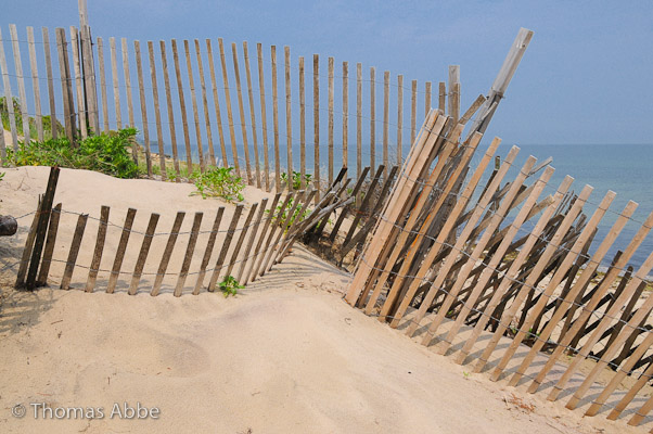 Snowfence at Gardiner's Bay