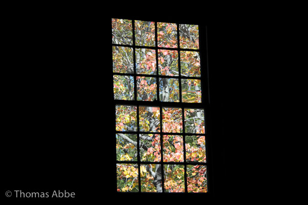 Meetinghouse Window