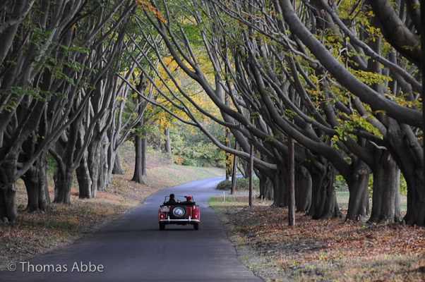 Red MG on a Country Road