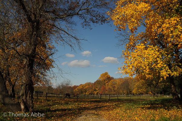 Old Mill Farm, Jericho, NY
